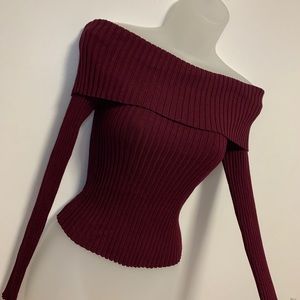 Red Wine Off Shoulder Tight Sweater